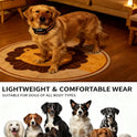 Automatic Rechargeable Bark Collar for Dogs | Waterproof Anti-Bark Training Collar