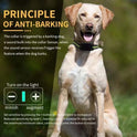 Automatic Rechargeable Bark Collar for Dogs | Waterproof Anti-Bark Training Collar