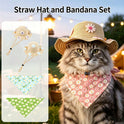 Cute Daisy Pet Straw Hat with Bandana | Summer Dog & Cat Sun Hat