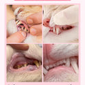 Cat Dental Spray for Fresh Breath & Teeth Cleaning (60ml)