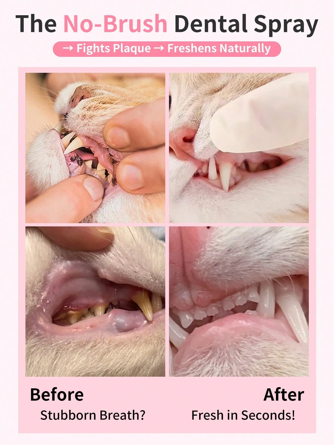Cat Dental Spray for Fresh Breath & Teeth Cleaning (60ml)
