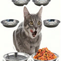 Stainless Steel Bowl | Wide & Shallow Pet Food & Water Dish