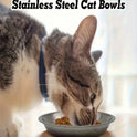 Stainless Steel Bowl | Wide & Shallow Pet Food & Water Dish