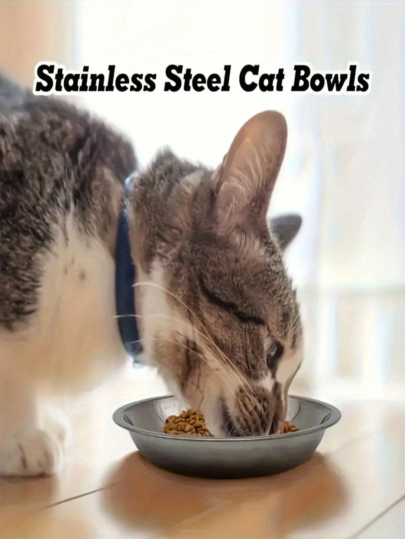 Stainless Steel Bowl | Wide & Shallow Pet Food & Water Dish
