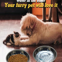 Stainless Steel Bowl | Wide & Shallow Pet Food & Water Dish