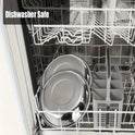 Stainless Steel Bowl | Wide & Shallow Pet Food & Water Dish