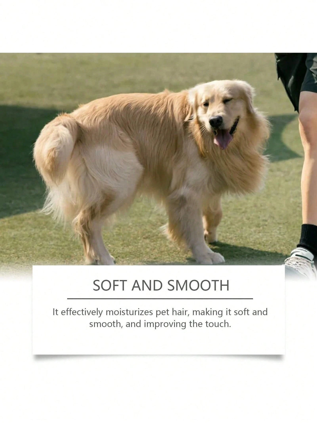 Pet Deodorizing Spray for Cats & Dogs – Odor Freshener