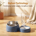 2-in-1 Automatic Cat & Dog Food and Water Bowl – Elevated Pet Feeder