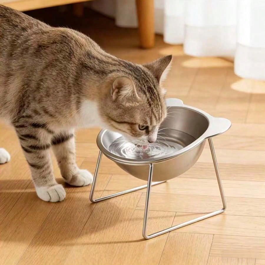 420ml Elevated Stainless Steel Cat Bowl – 15° Tilted Bowl with Stand