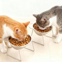 420ml Elevated Stainless Steel Cat Bowl – 15° Tilted Bowl with Stand