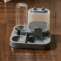 2-in-1 Cat Feeder & Water Dispenser | Automatic Pet Feeding Station