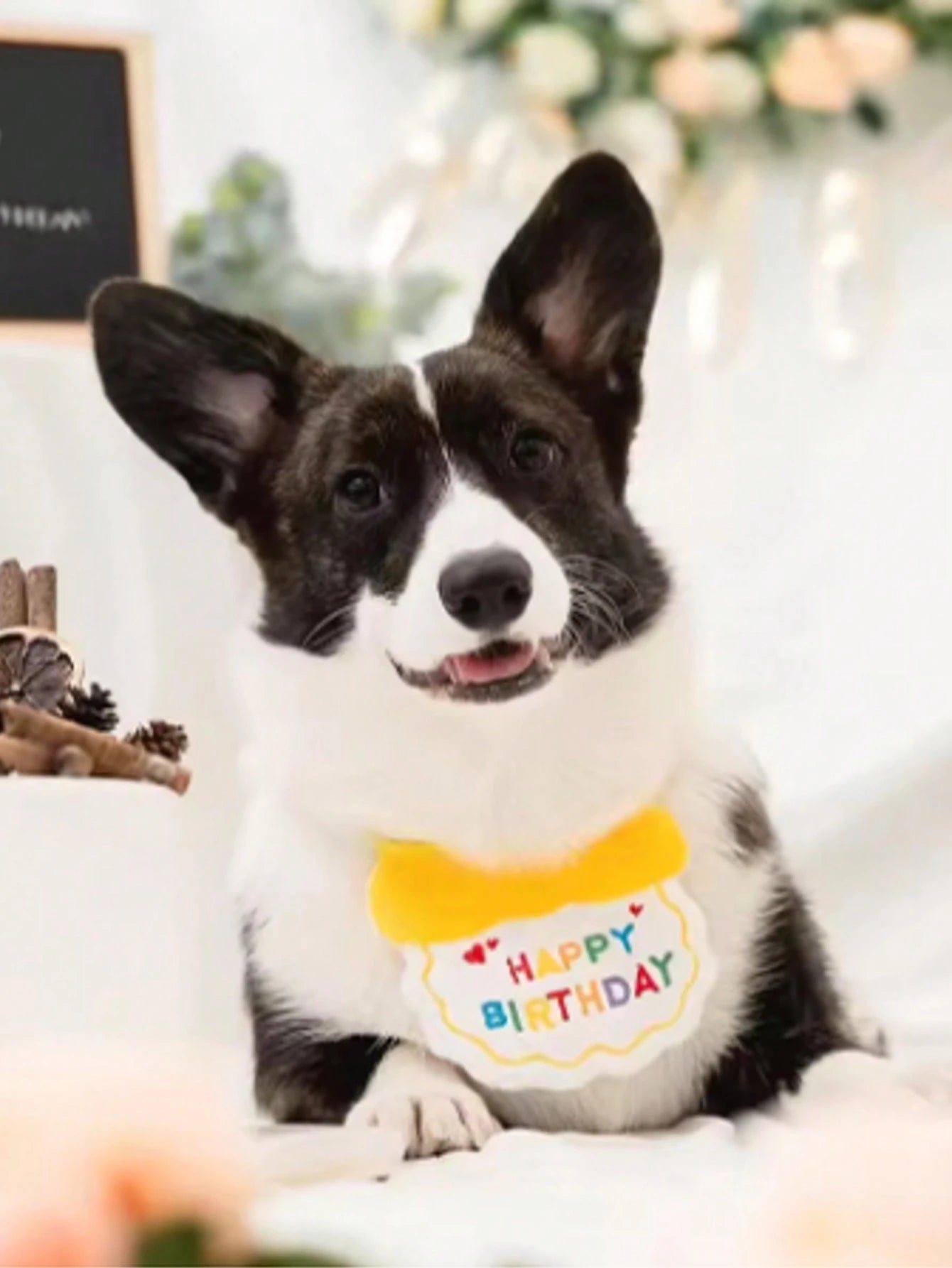 Dog & Cat Birthday Hat & Bandana Set | Happy Birthday Pet Party Outfit