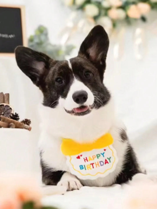 Dog & Cat Birthday Hat & Bandana Set | Happy Birthday Pet Party Outfit