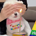 Dog & Cat Birthday Hat & Bandana Set | Happy Birthday Pet Party Outfit