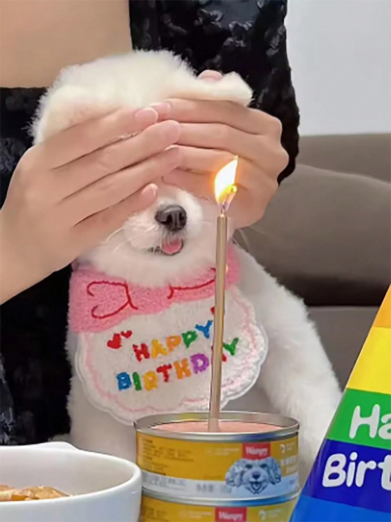 Dog & Cat Birthday Hat & Bandana Set | Happy Birthday Pet Party Outfit
