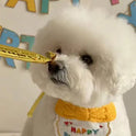 Dog & Cat Birthday Hat & Bandana Set | Happy Birthday Pet Party Outfit