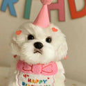Dog & Cat Birthday Hat & Bandana Set | Happy Birthday Pet Party Outfit