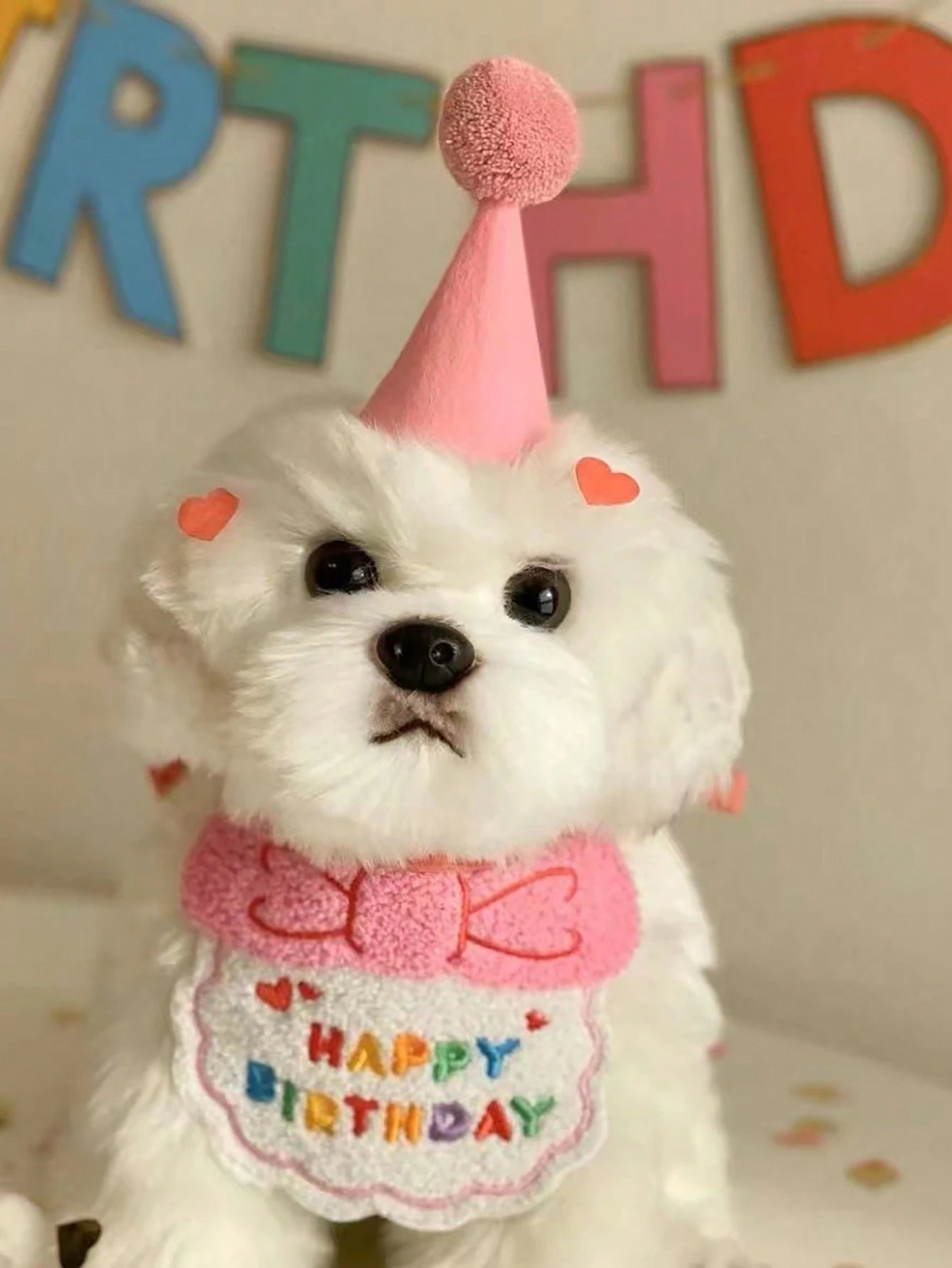 Dog & Cat Birthday Hat & Bandana Set | Happy Birthday Pet Party Outfit