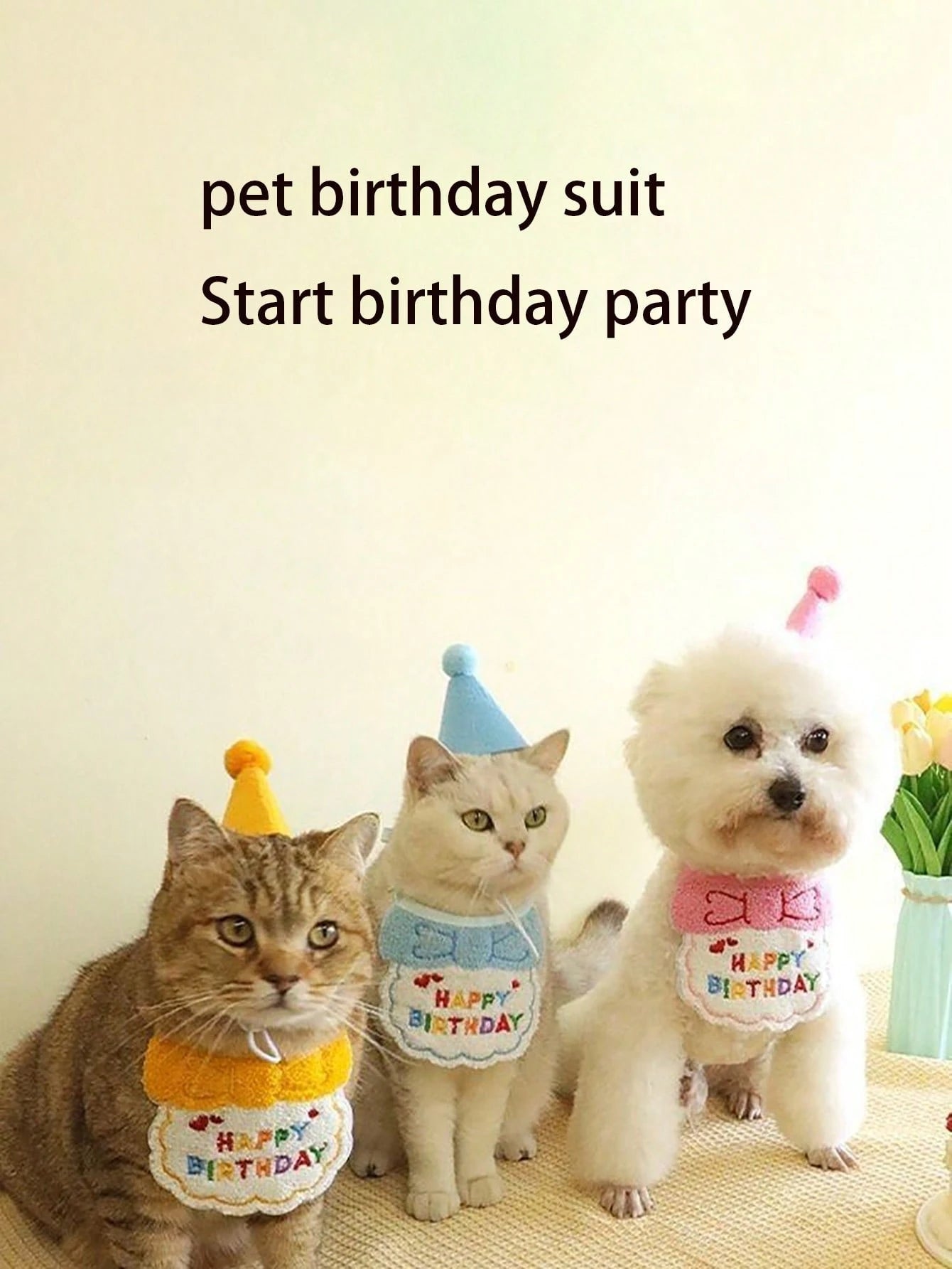 Dog & Cat Birthday Hat & Bandana Set | Happy Birthday Pet Party Outfit