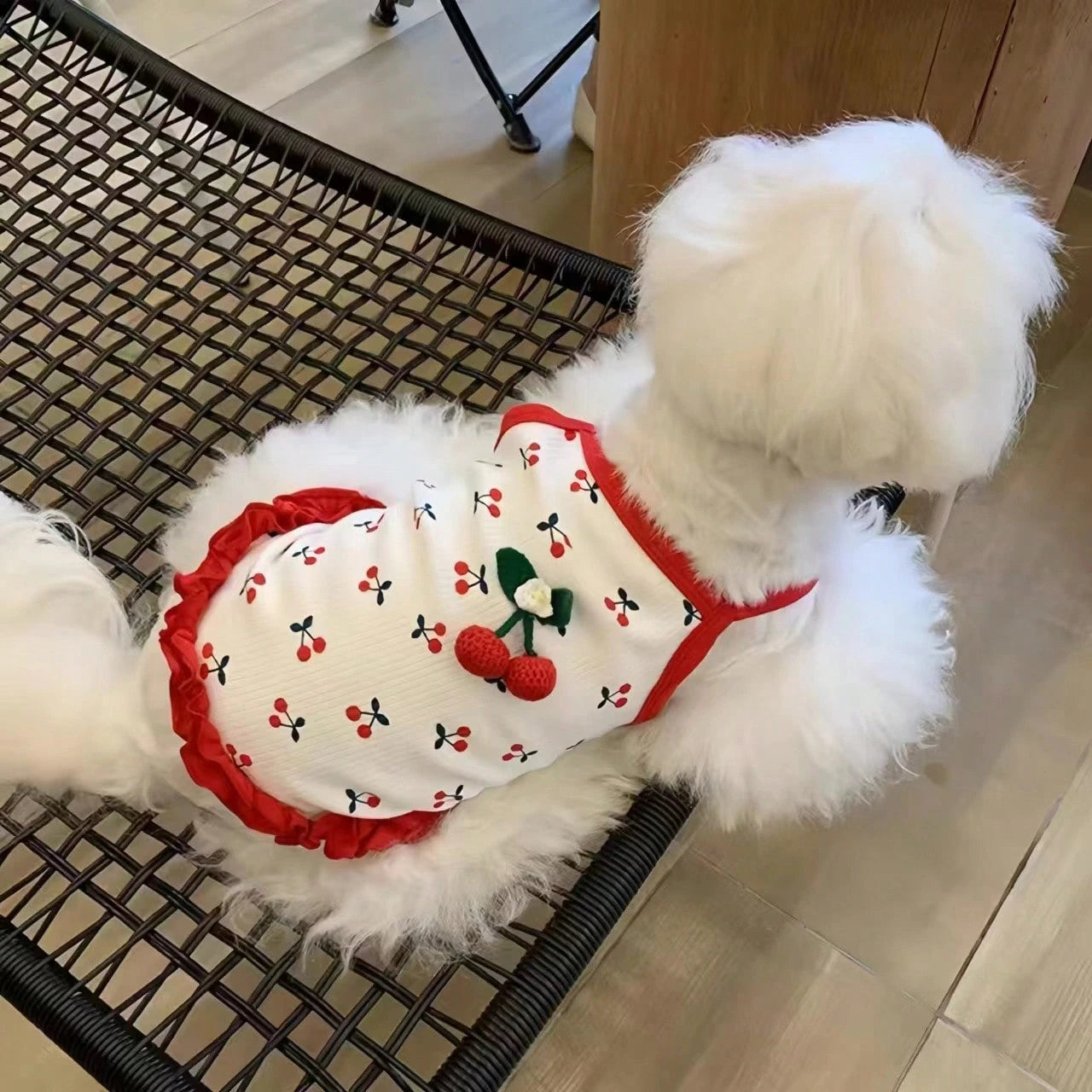 Cherry Print Pet Dress for Dogs & Cats | Lightweight Red Summer Dress