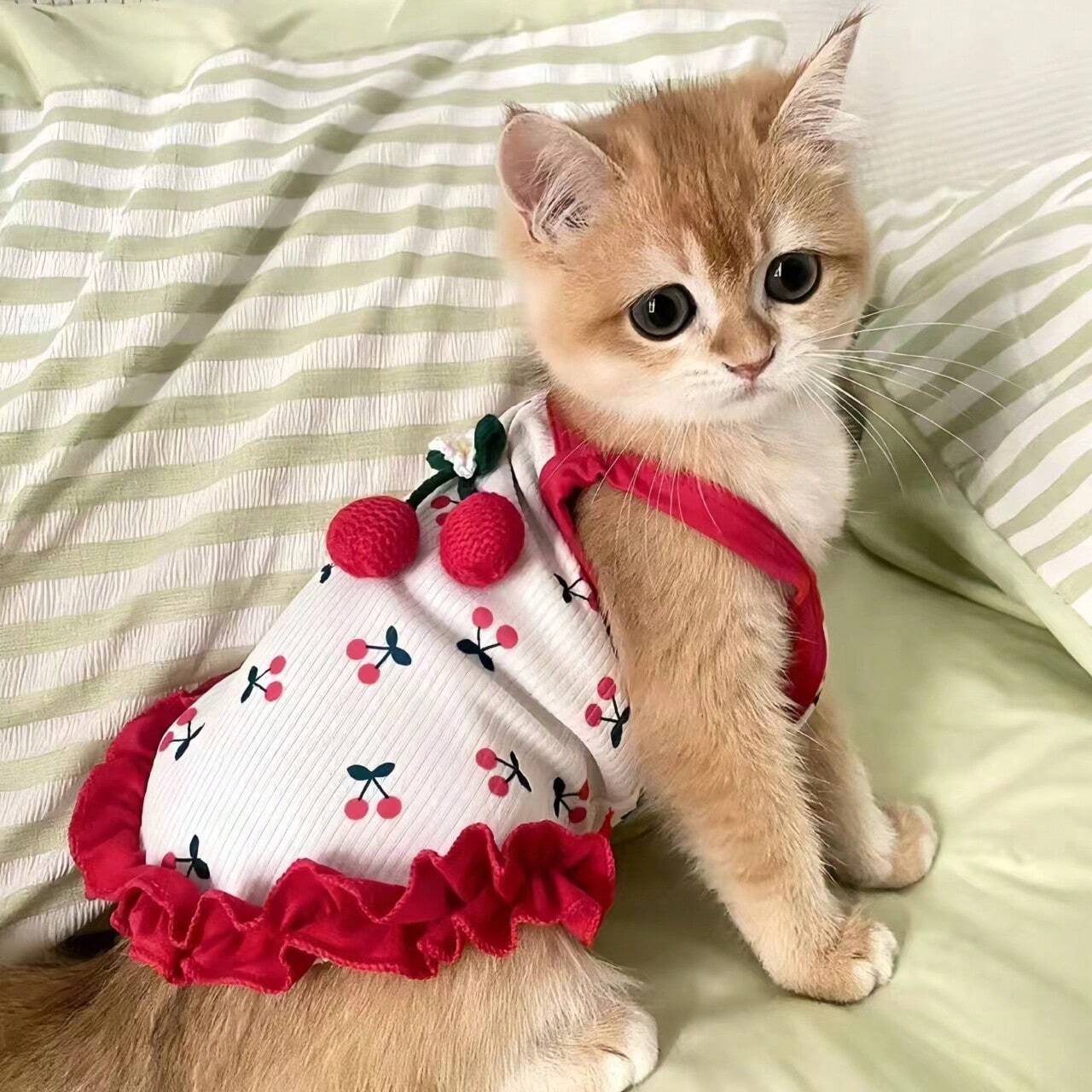 Cherry Print Pet Dress for Dogs & Cats | Lightweight Red Summer Dress