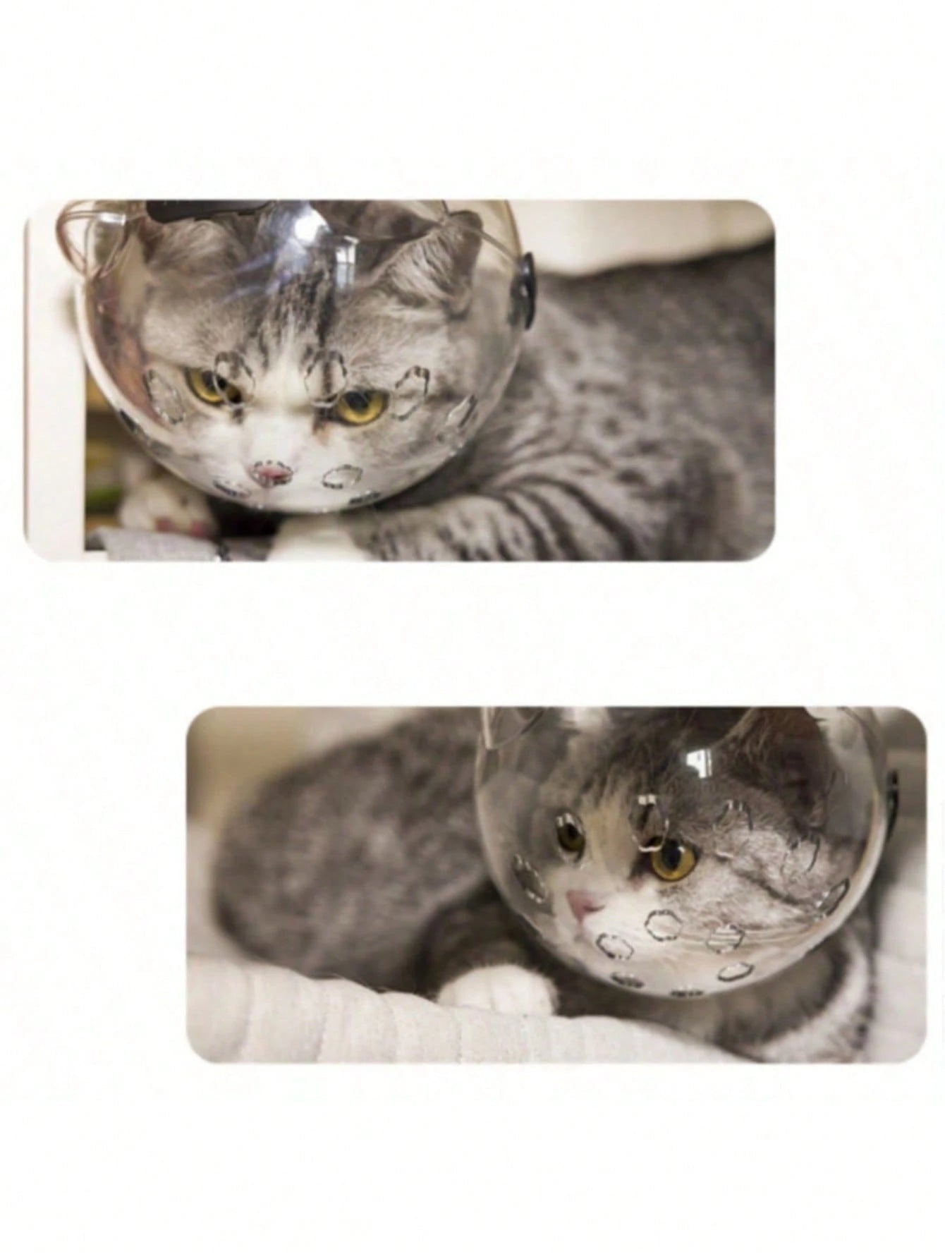 Cat Grooming Helmet | Anti-Bite & Anti-Scratch Protective Head Cover