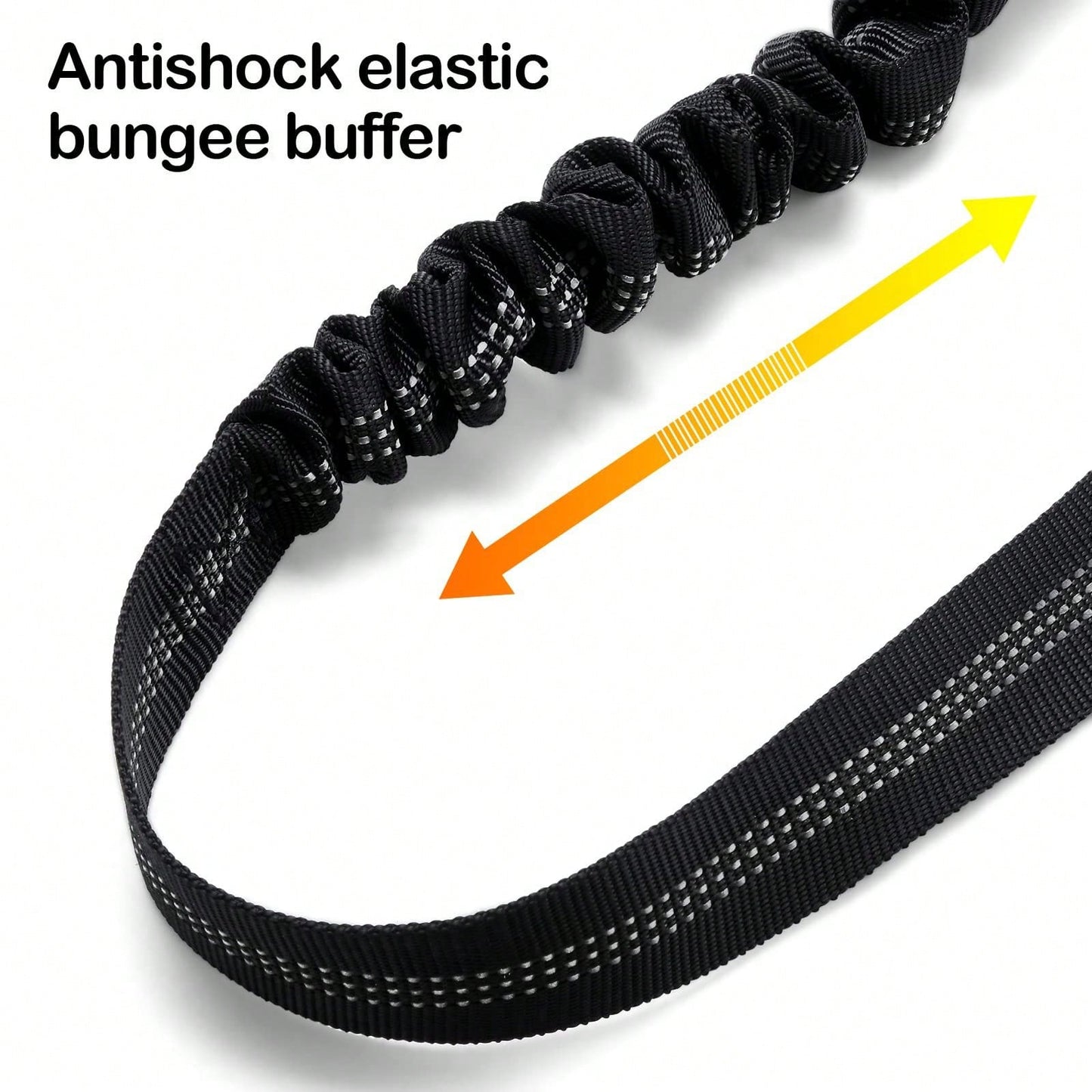 2-in-1 Retractable Dog Leash with Adjustable Safety Collar