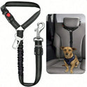 2-in-1 Retractable Dog Leash with Adjustable Safety Collar