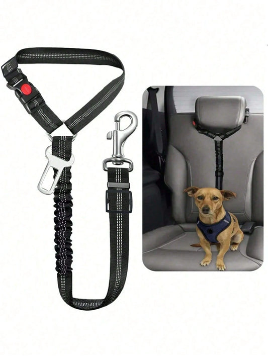 2-in-1 Retractable Dog Leash with Adjustable Safety Collar