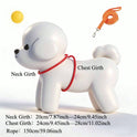 Reflective Pet Harness & Leash Set | Adjustable for Cats & Dogs