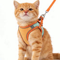 Reflective Pet Harness & Leash Set | Adjustable for Cats & Dogs