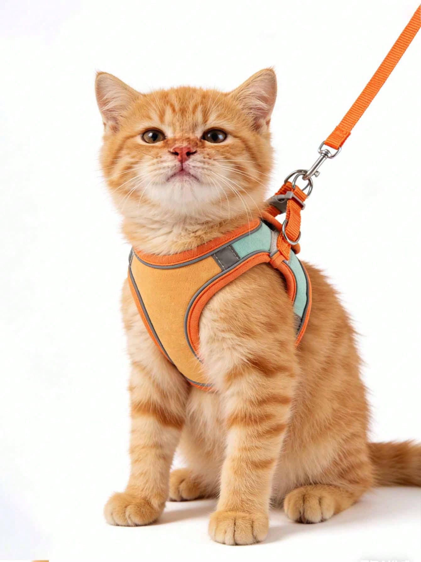 Reflective Pet Harness & Leash Set | Adjustable for Cats & Dogs