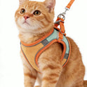 Reflective Pet Harness & Leash Set | Adjustable for Cats & Dogs