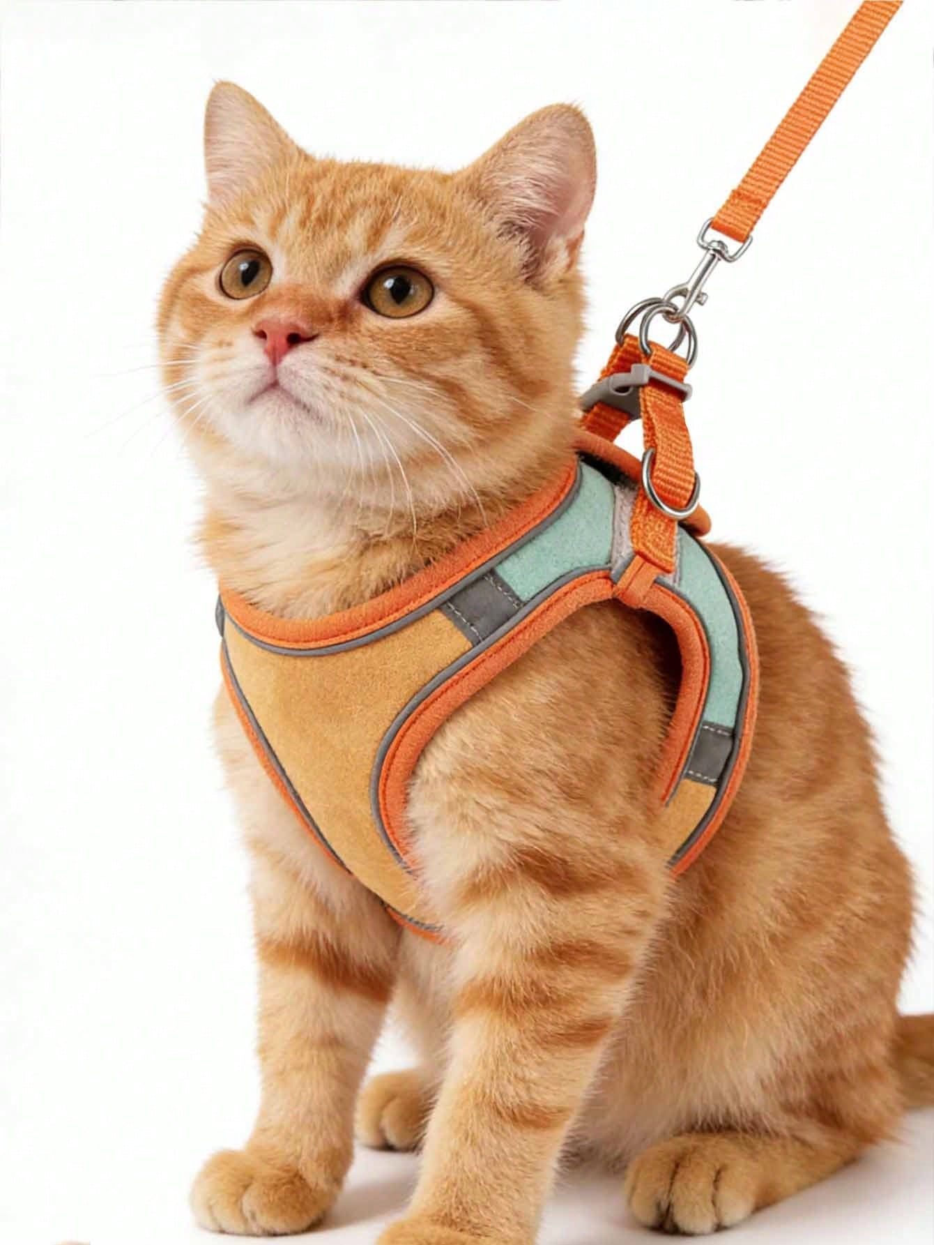 Reflective Pet Harness & Leash Set | Adjustable for Cats & Dogs