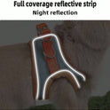 Reflective Pet Harness & Leash Set | Adjustable for Cats & Dogs