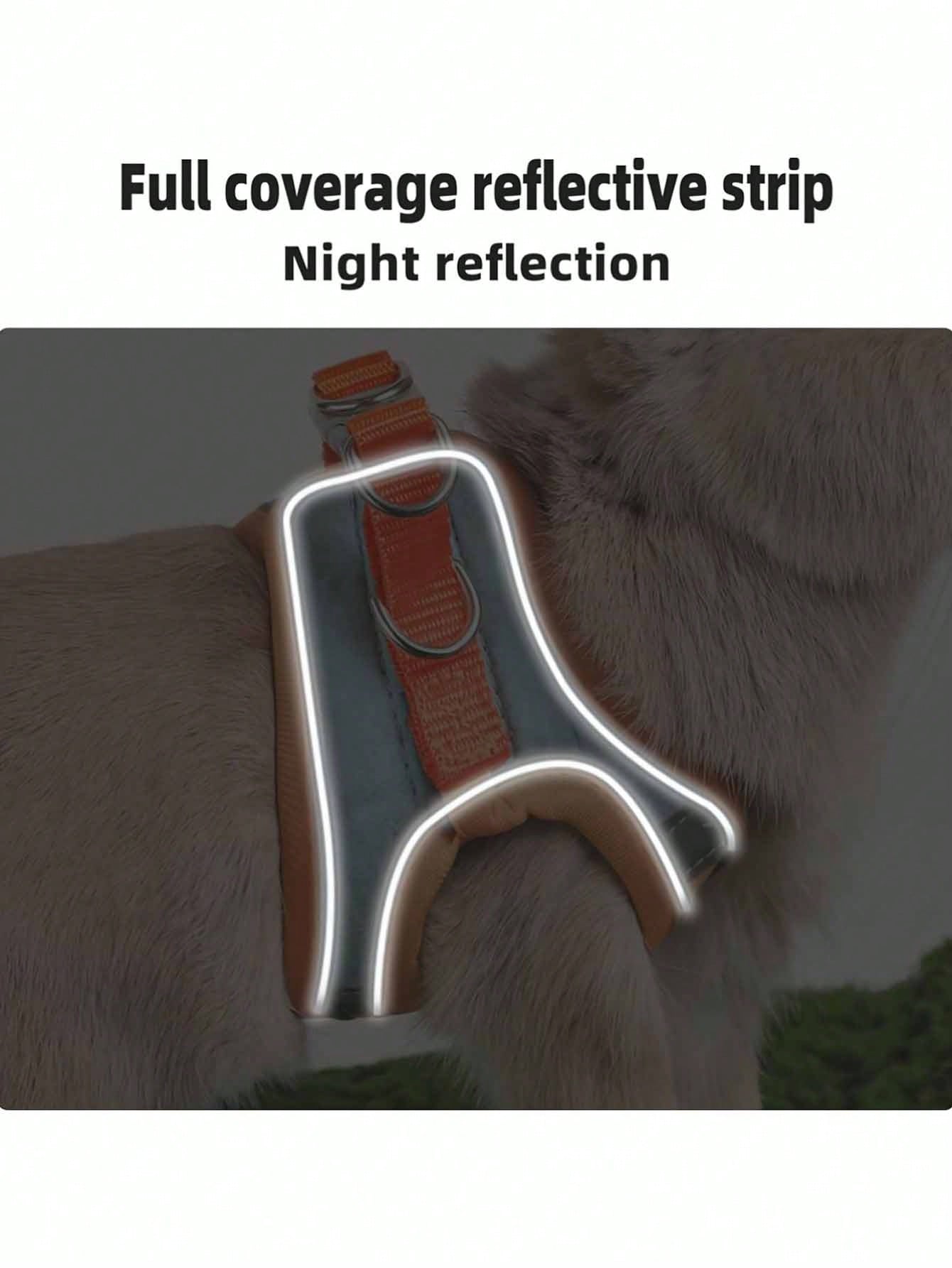 Reflective Pet Harness & Leash Set | Adjustable for Cats & Dogs