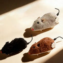 Clockwork Mouse Cat Toy | Wind-Up Interactive Toys for Cats