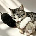 Clockwork Mouse Cat Toy | Wind-Up Interactive Toys for Cats