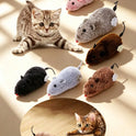 Clockwork Mouse Cat Toy | Wind-Up Interactive Toys for Cats