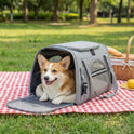 Soft Pet Carrier Bag | Foldable Breathable Cat & Dog Travel Carrier