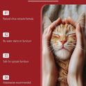 120ml Cat Repellent Spray – Anti-Scratching, Climbing & Urine Deterrent