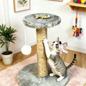 Mini Sisal Cat Scratching Post with Pom-Pom & Feather Toy | Interactive Cat Treec