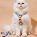 SpongeBob Pet Collar & Leash Set for Cats & Small Dogs