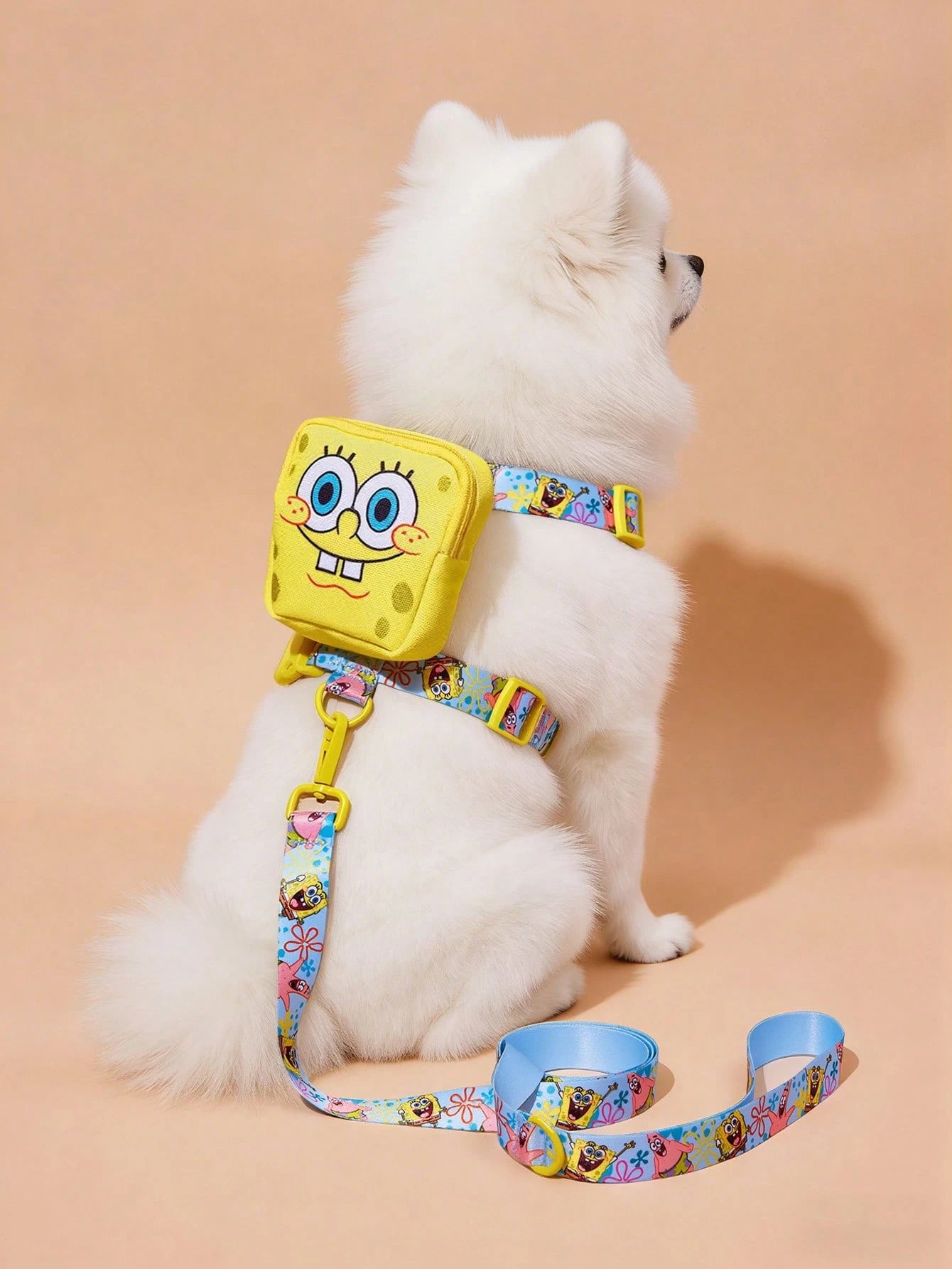 SpongeBob Pet Collar & Leash Set for Cats & Small Dogs