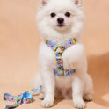 SpongeBob Pet Collar & Leash Set for Cats & Small Dogs