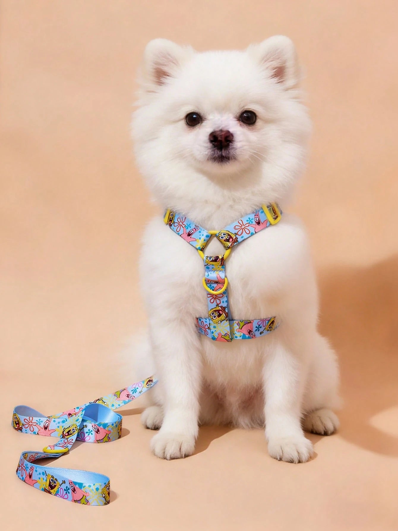 SpongeBob Pet Collar & Leash Set for Cats & Small Dogs
