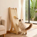 Curved Sisal Cat Scratching Post with Hanging Feather Toy | Durable Cat Scratcher