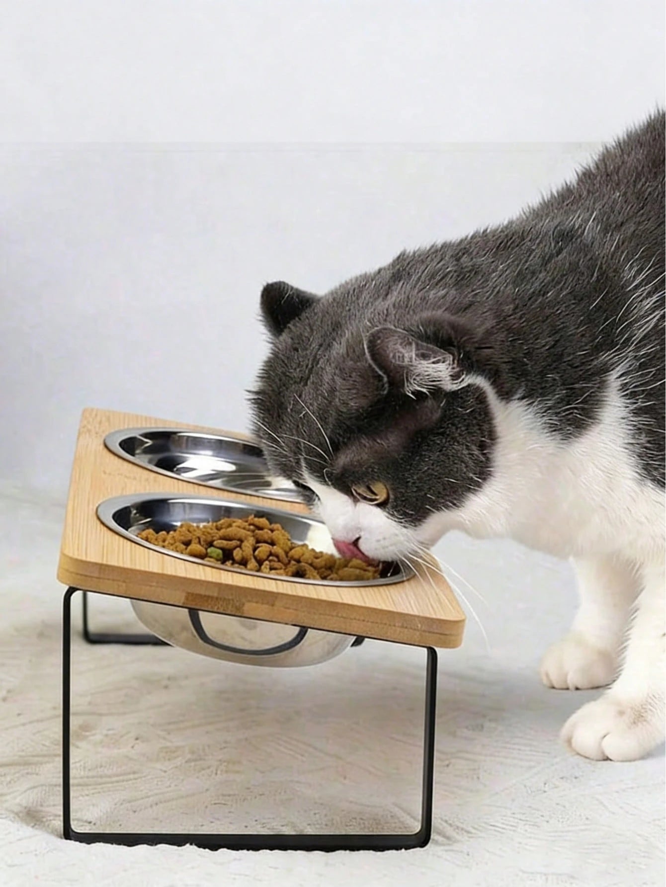 Raised Stainless Steel Double Pet Bowls | Tilted Cat & Dog Feeder