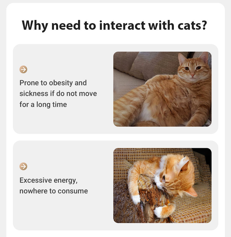 ROJECO Interactive Laser Cat Toy: The Ultimate Automatic Playmate for Your Cat