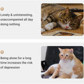 ROJECO Interactive Laser Cat Toy: The Ultimate Automatic Playmate for Your Cat